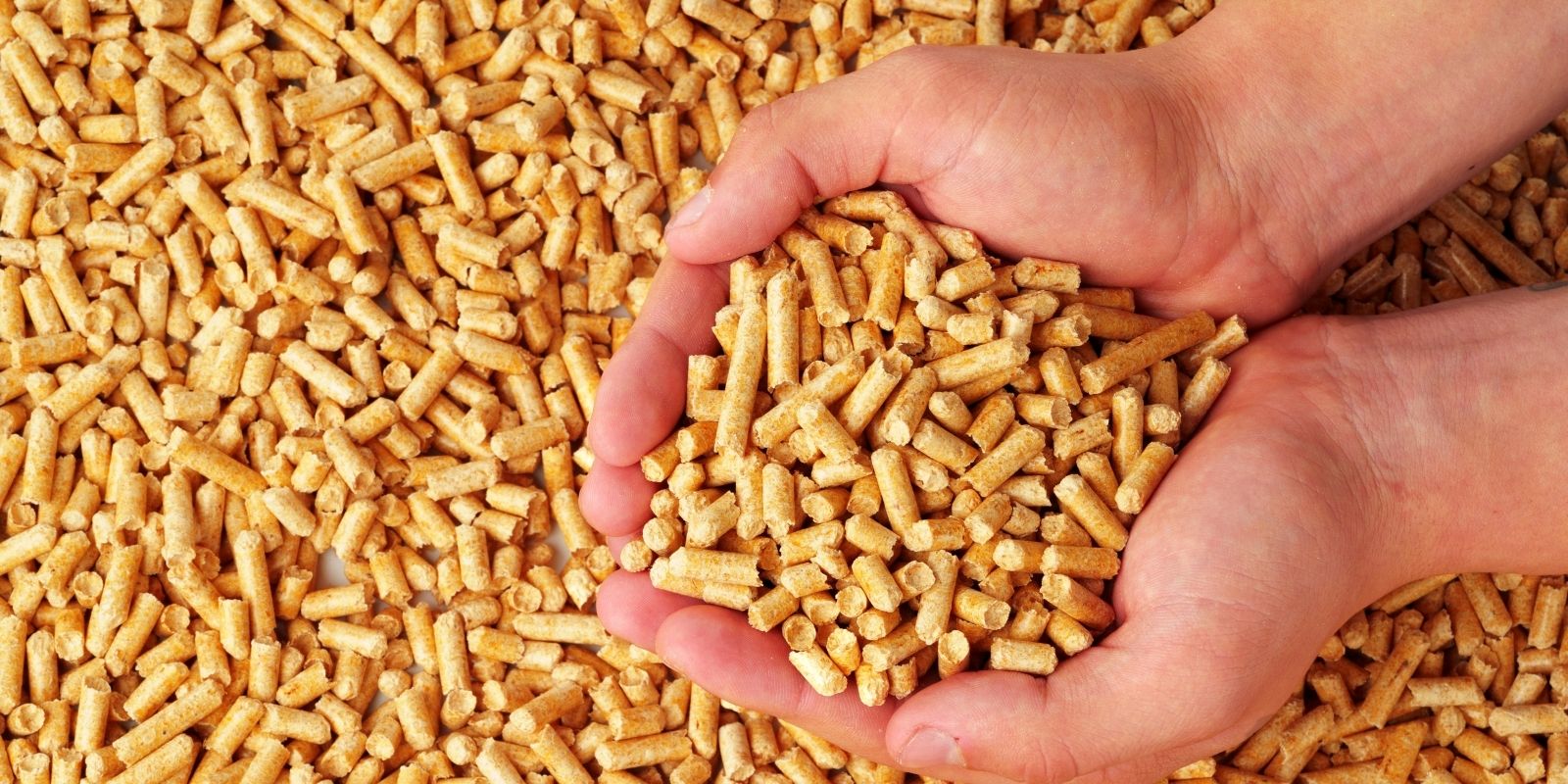 Untitled design - 2025-09-06T122322